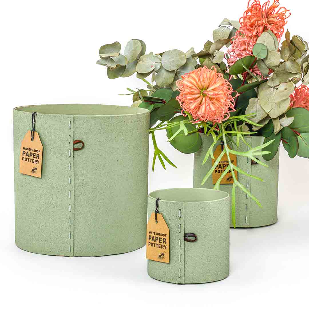 Airlie Moss Pot Set