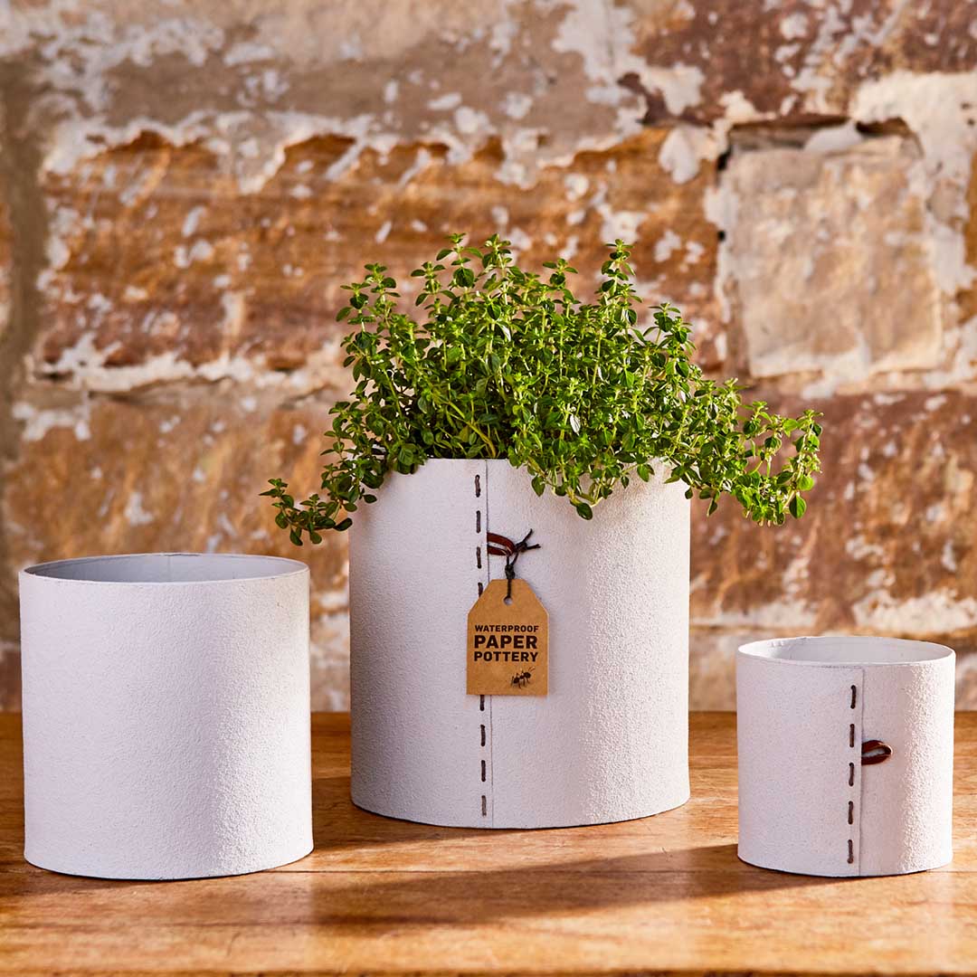 Airlie Sampler Rose+Grey