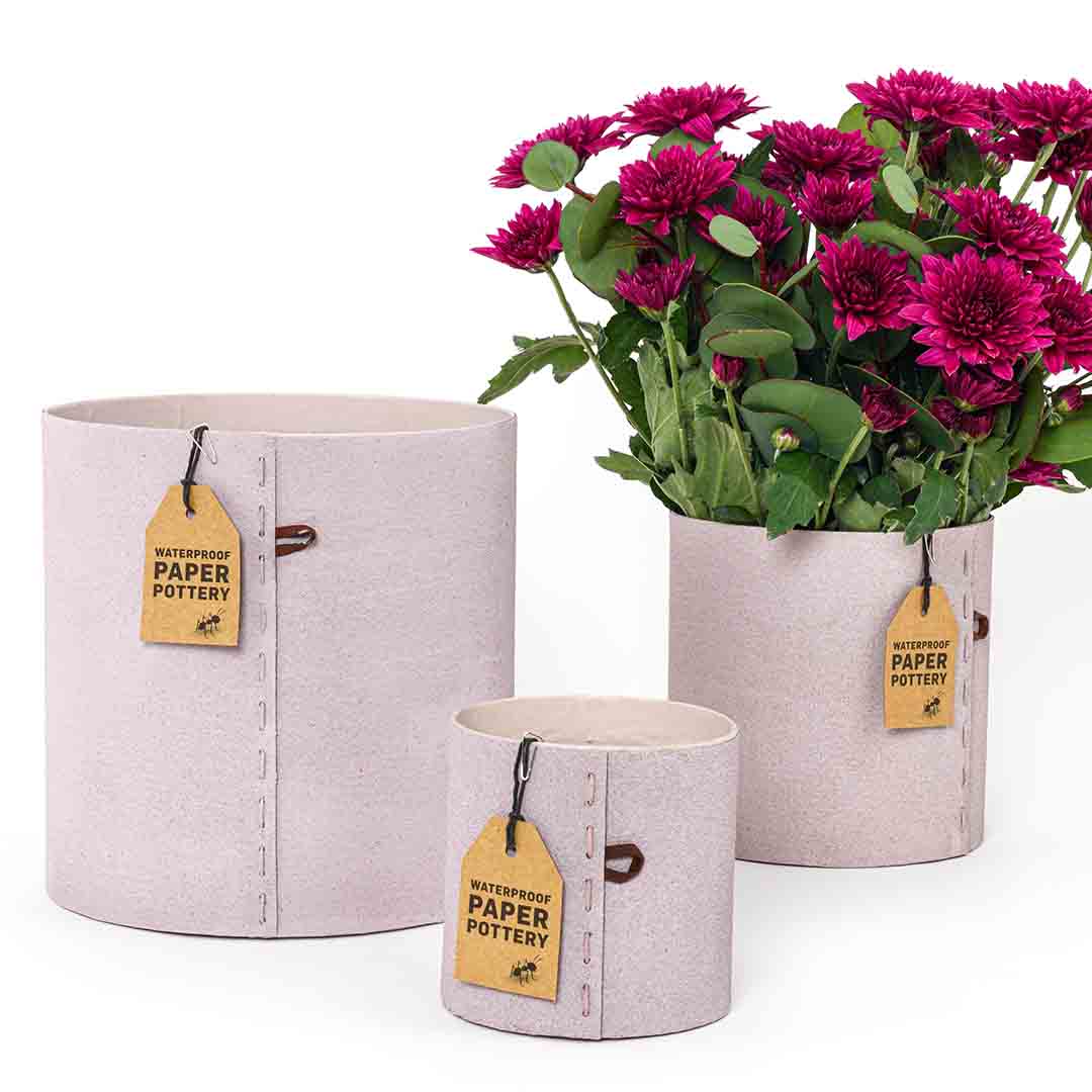 Airlie Rose Pot Set