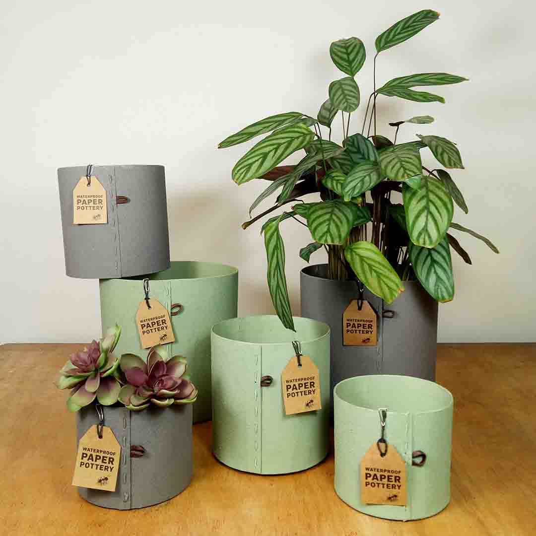 Airlie Sampler Moss+Stone