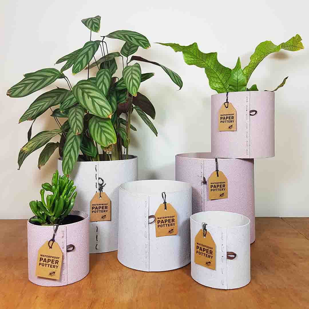 Airlie Sampler Rose+Grey