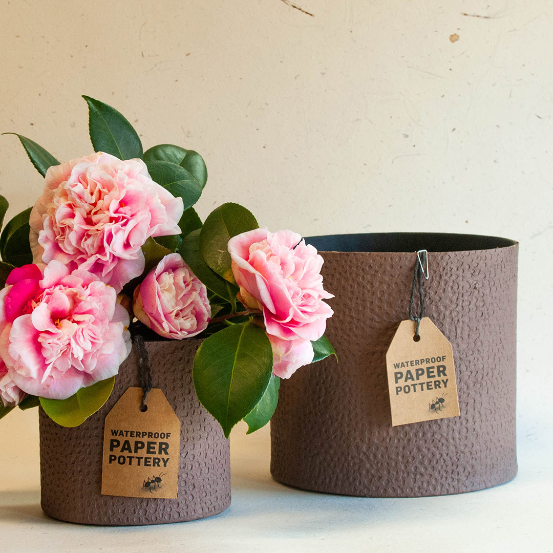 Durack Nutmeg Pot Set