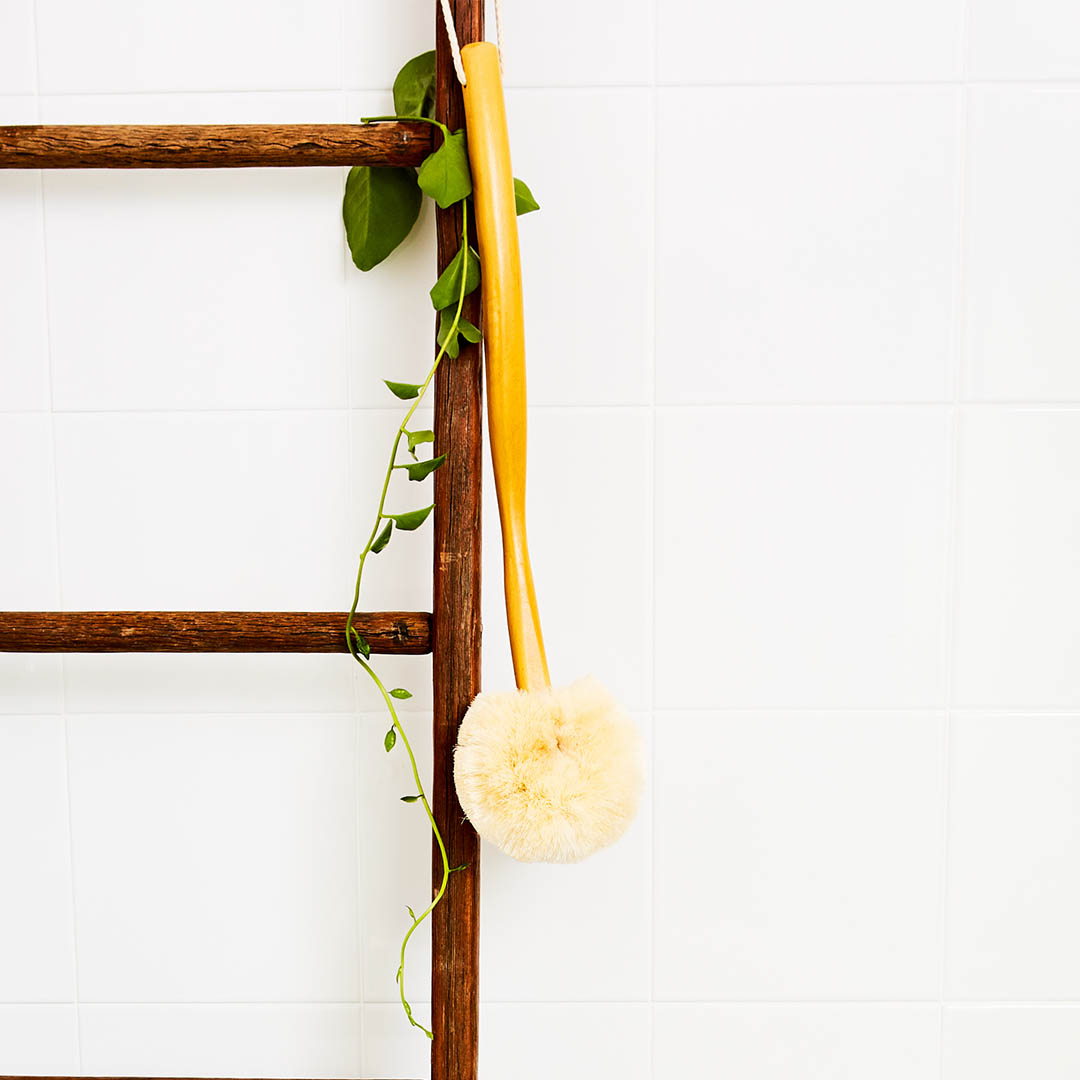 ECOMAX Back Brush Long Handle