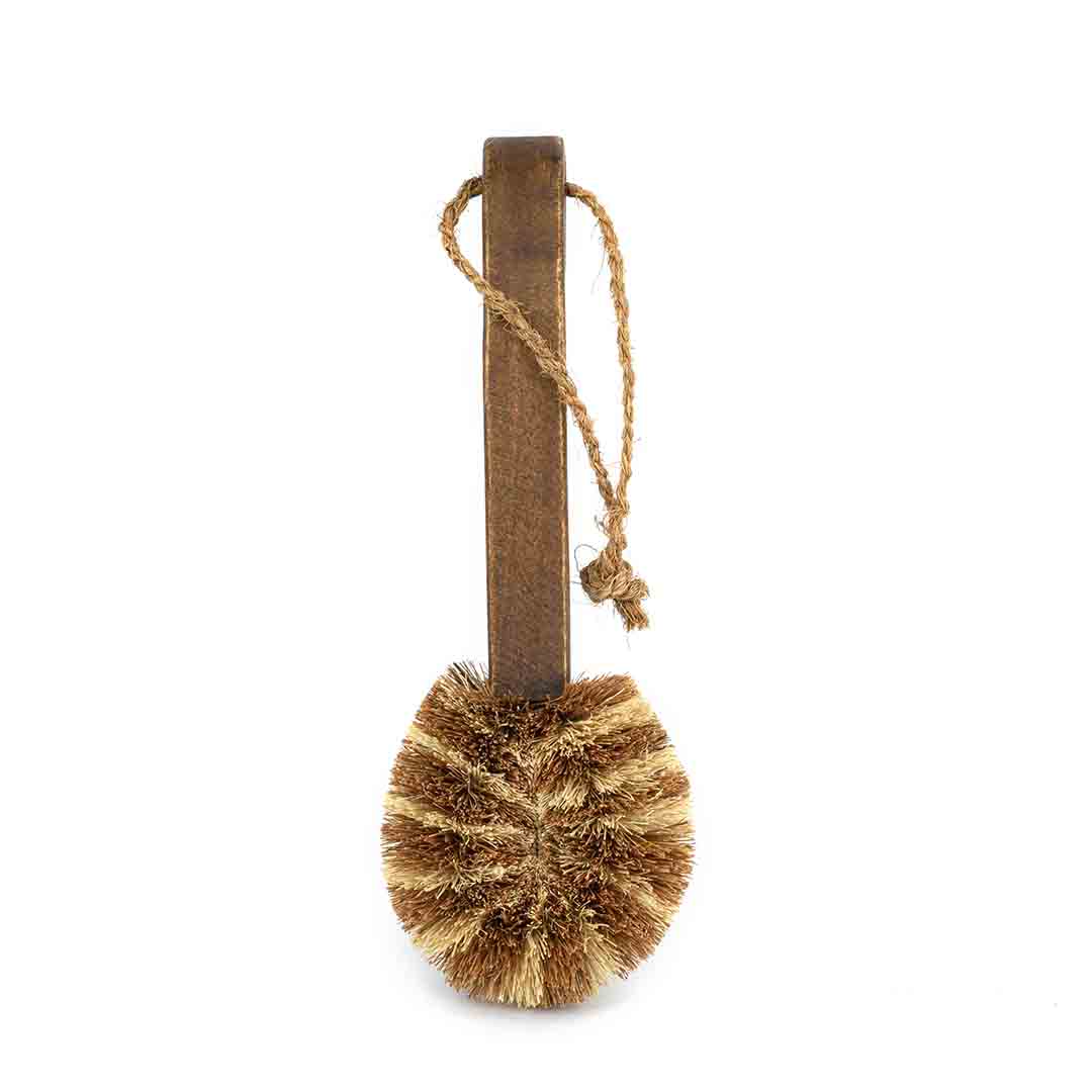 ECOMAX Premium Dish Brush